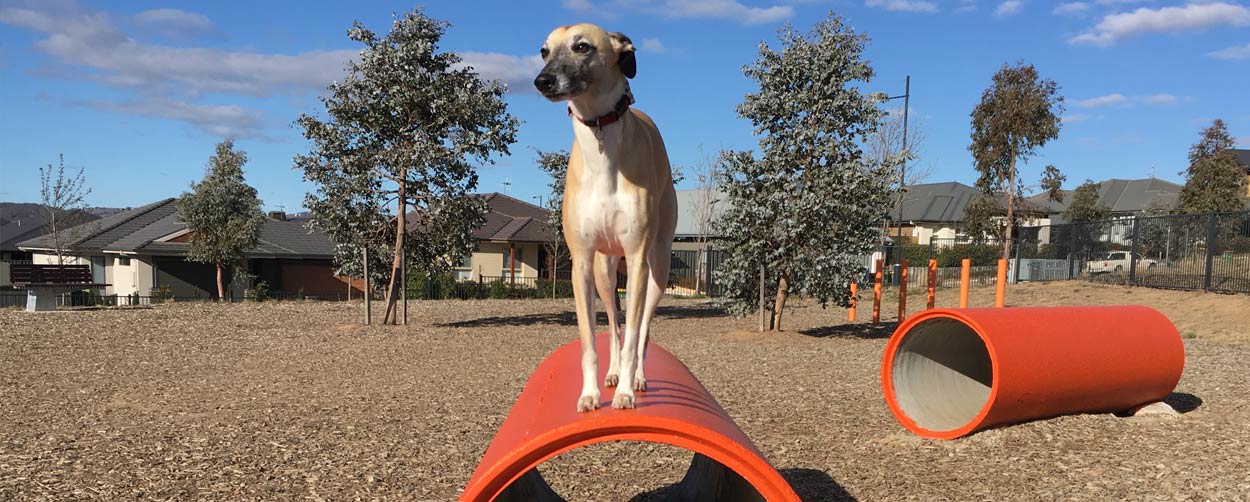 Rockley Dog Park